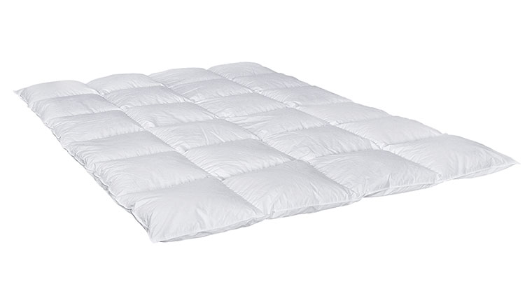AVENTURA Basic Daune